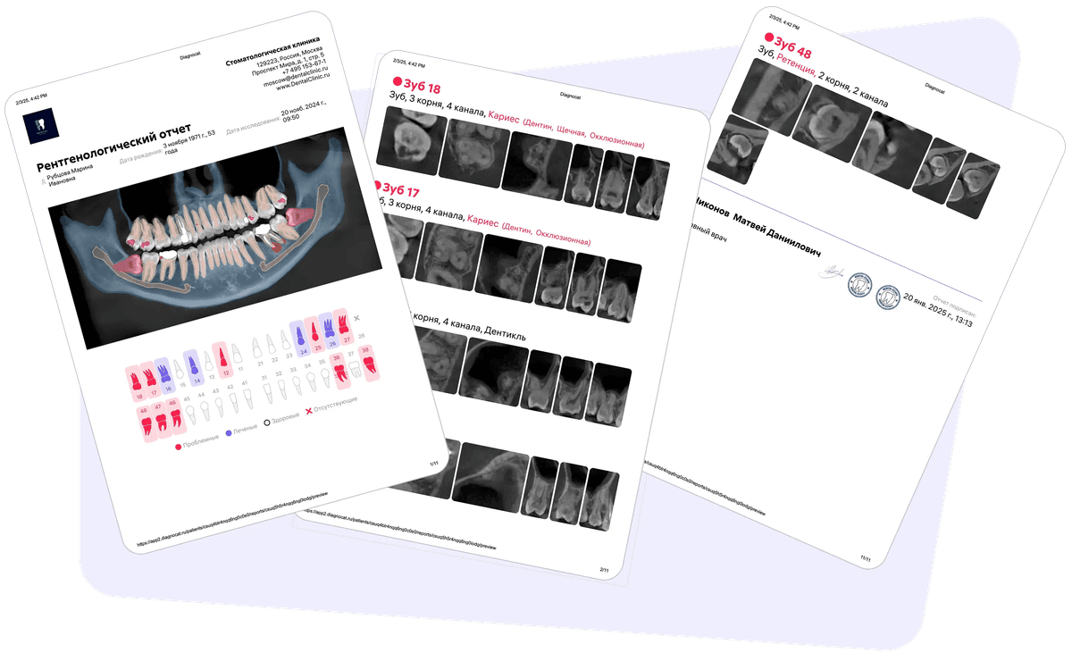 Diagnocat отчёт